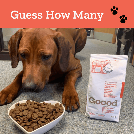 Win a Three Months Supply of Sustainable Dog Food