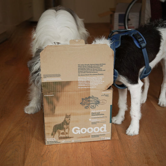 Win 3 Months Free Dog Food With Our #LoveYourPetDay Comp!