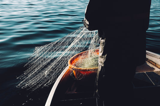 Why we support MSC-certified fisheries