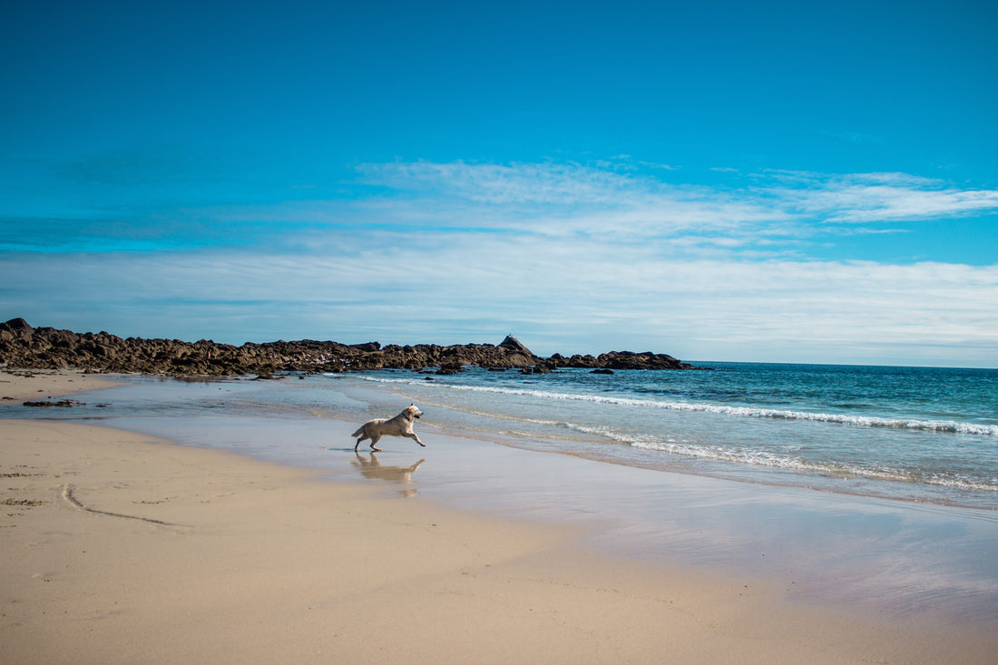 How We're Helping To Clean Up Our Oceans