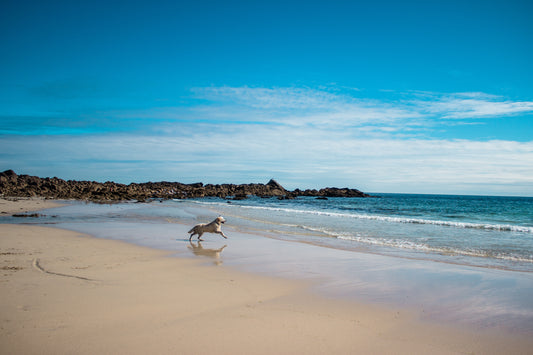 How We're Helping To Clean Up Our Oceans
